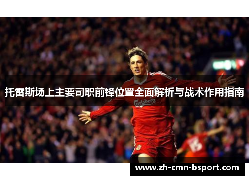托雷斯场上主要司职前锋位置全面解析与战术作用指南