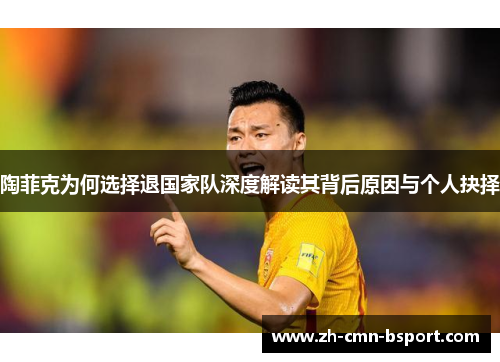 陶菲克为何选择退国家队深度解读其背后原因与个人抉择